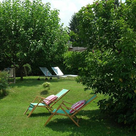 Olive Tree Hill Bed & Breakfast Zagarolo Bagian luar foto