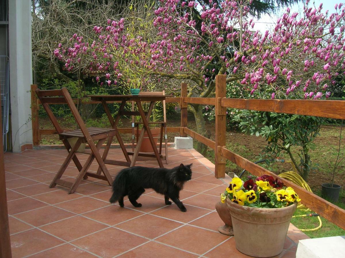 Olive Tree Hill Bed & Breakfast Zagarolo Bagian luar foto