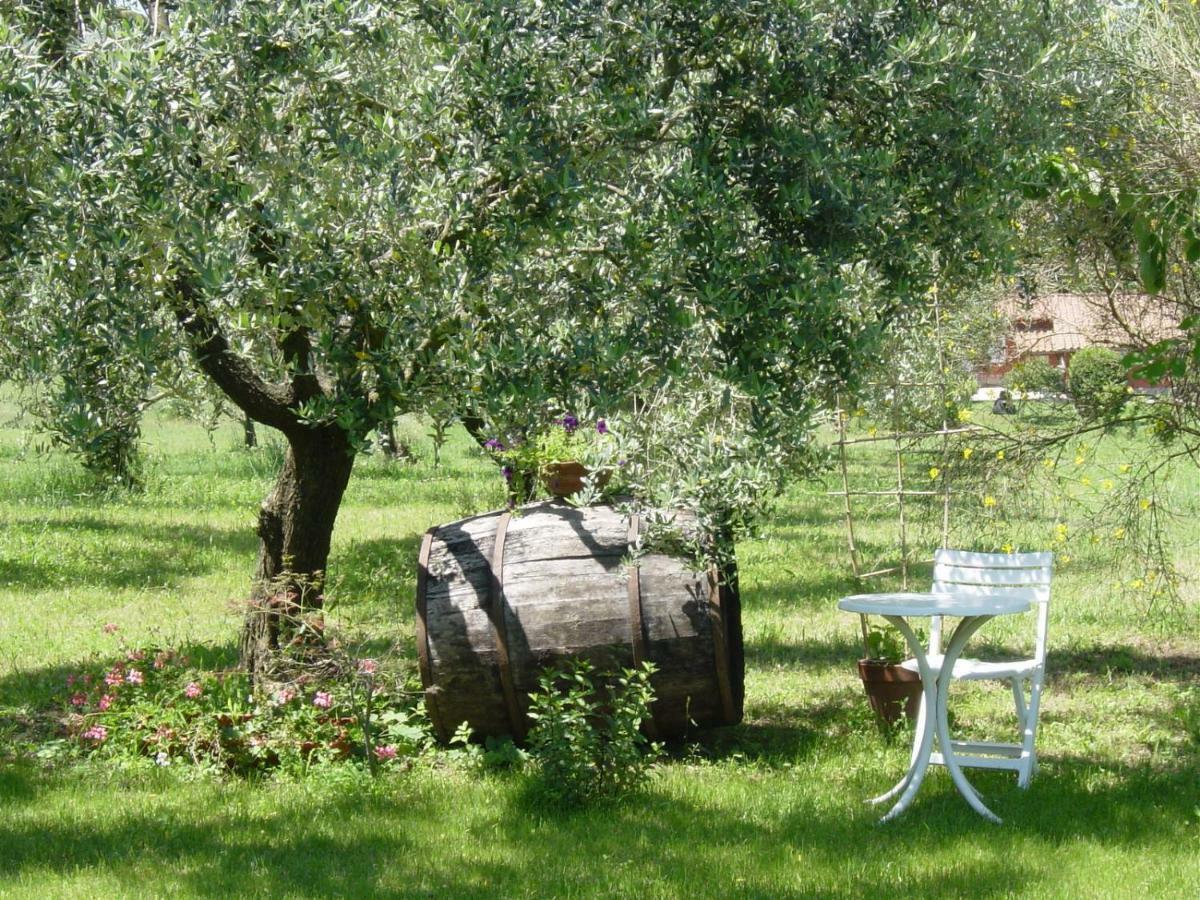 Olive Tree Hill Bed & Breakfast Zagarolo Bagian luar foto