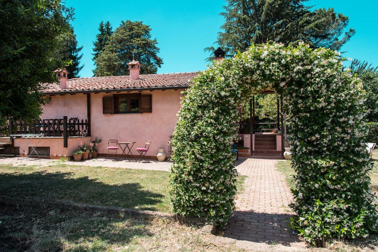 Olive Tree Hill Bed & Breakfast Zagarolo Bagian luar foto