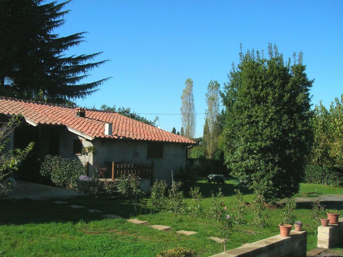 Olive Tree Hill Bed & Breakfast Zagarolo Bagian luar foto