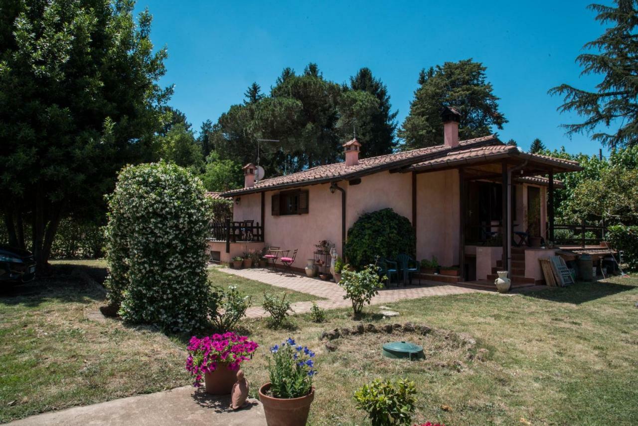 Olive Tree Hill Bed & Breakfast Zagarolo Bagian luar foto